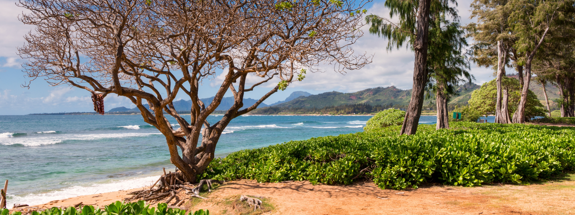 Summer Boho - Free spirit, handicrafted style